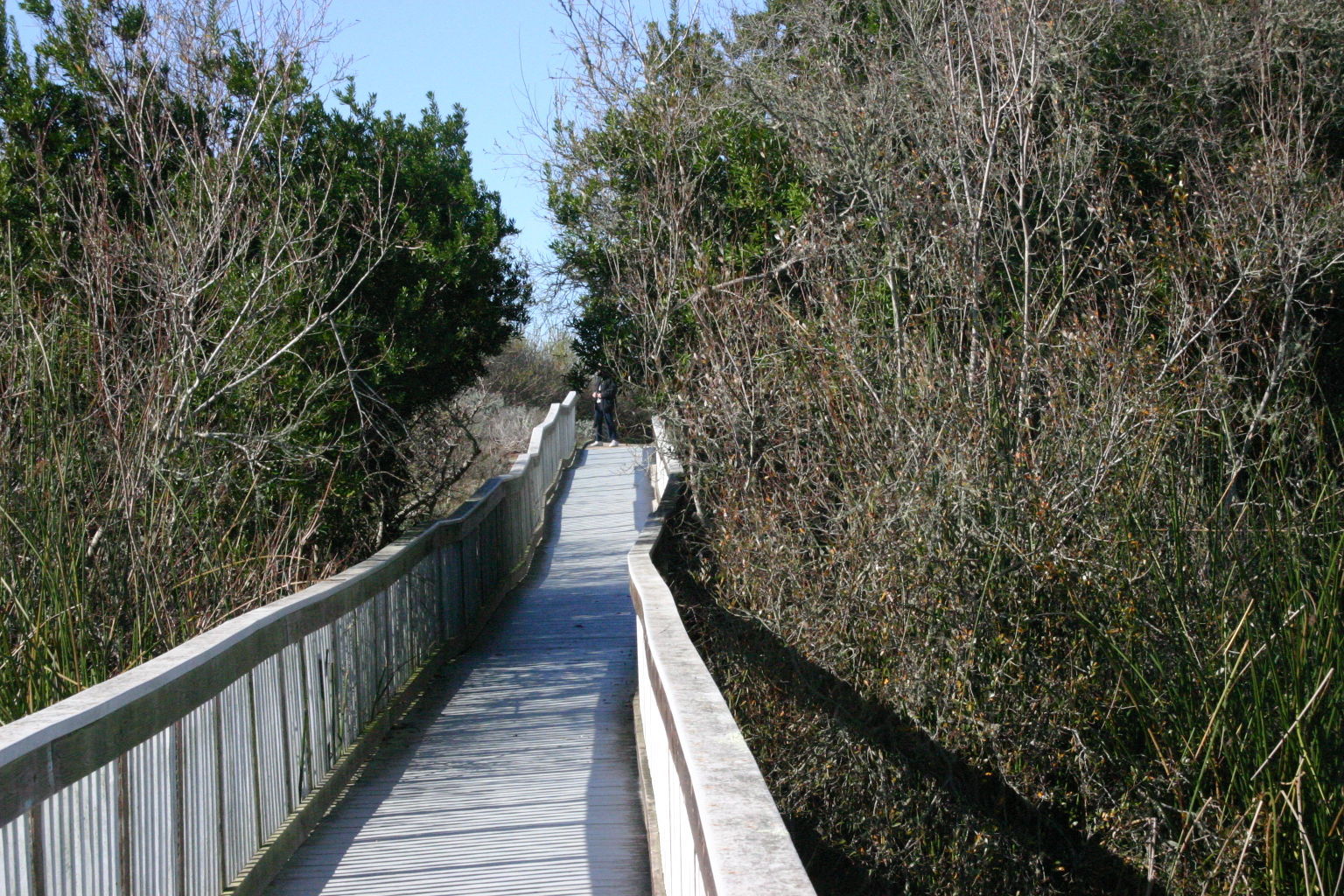 Oso Flaco Boardwalk